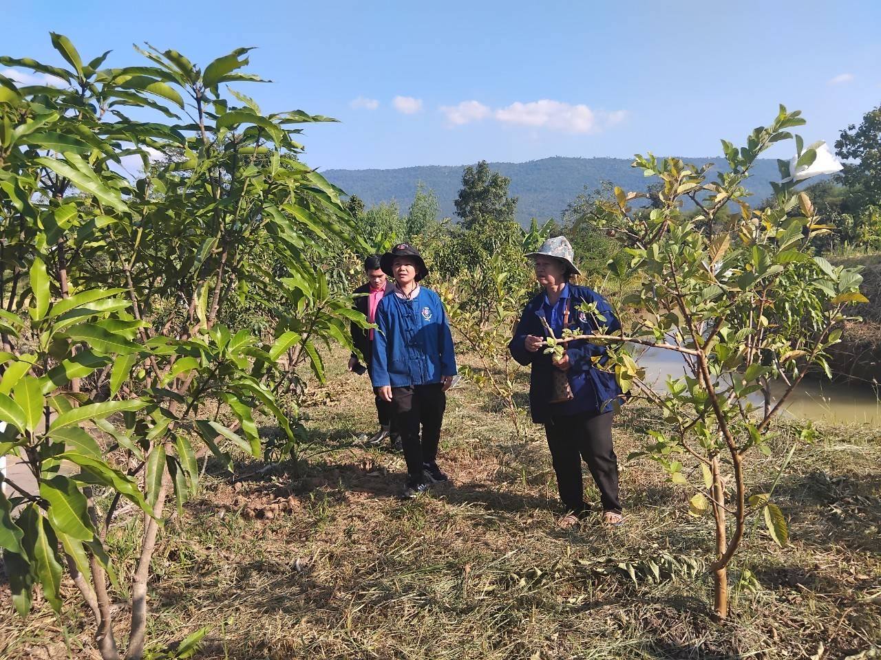 พช.ชัยภูมิ  ร่วมประชุมสนับสนุนและวางแผนขับเคลื่อนงานพัฒนาชุมชน ประจำเดือนพฤศจิกายน 2567 อำเภอหนองบัวแดง จังหวัดชัยภูมิ