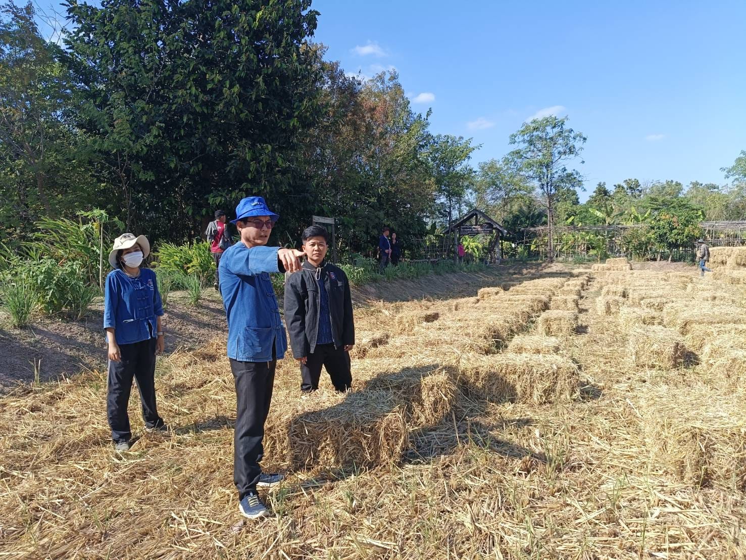 ชัยภูมิรวมพลังขับเคลื่อน “โคก หนอง นา พัฒนาชุมชน” จัดกิจกรรมพาแลง สร้างเครือข่ายโคกหนองนาพัฒนาชุมชนอย่างยั่งยืน