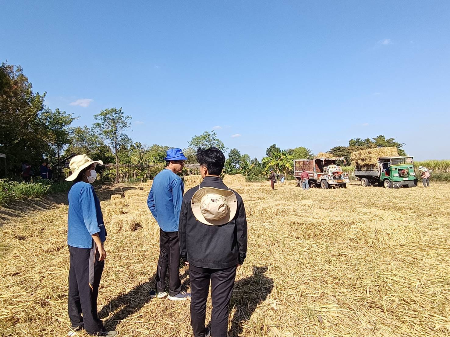 ชัยภูมิรวมพลังขับเคลื่อน “โคก หนอง นา พัฒนาชุมชน” จัดกิจกรรมพาแลง สร้างเครือข่ายโคกหนองนาพัฒนาชุมชนอย่างยั่งยืน