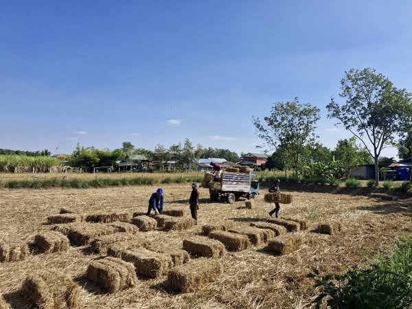 ชัยภูมิรวมพลังขับเคลื่อน “โคก หนอง นา พัฒนาชุมชน” จัดกิจกรรมพาแลง สร้างเครือข่ายโคกหนองนาพัฒนาชุมชนอย่างยั่งยืน