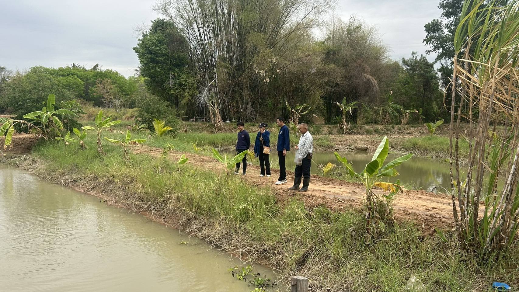 พช.ชัยภูมิ ติดตามการตรวจประเมินศักยภาพศูนย์เรียนรู้การพัฒนาคุณภาพชีวิตตามหลักทฤษฎีใหม่ประยุกต์สู่ “โคก หนอง นา”