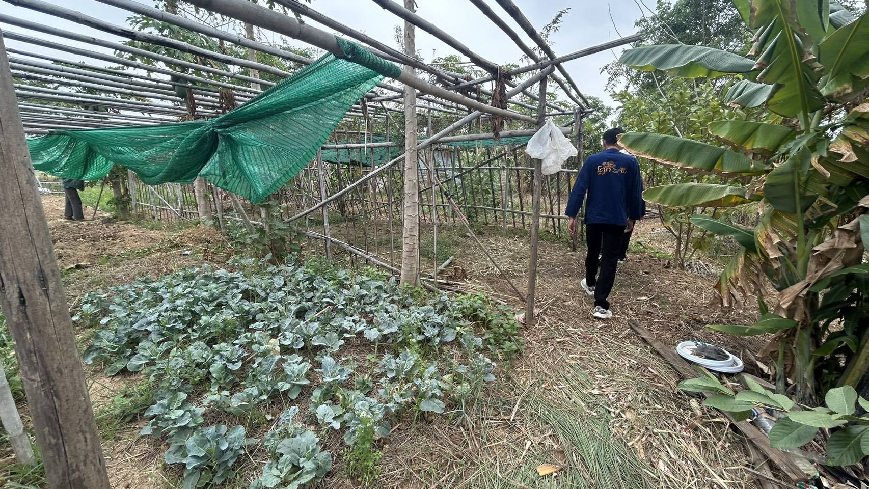 พช.ชัยภูมิ ติดตามการตรวจประเมินศักยภาพศูนย์เรียนรู้การพัฒนาคุณภาพชีวิตตามหลักทฤษฎีใหม่ประยุกต์สู่ “โคก หนอง นา”