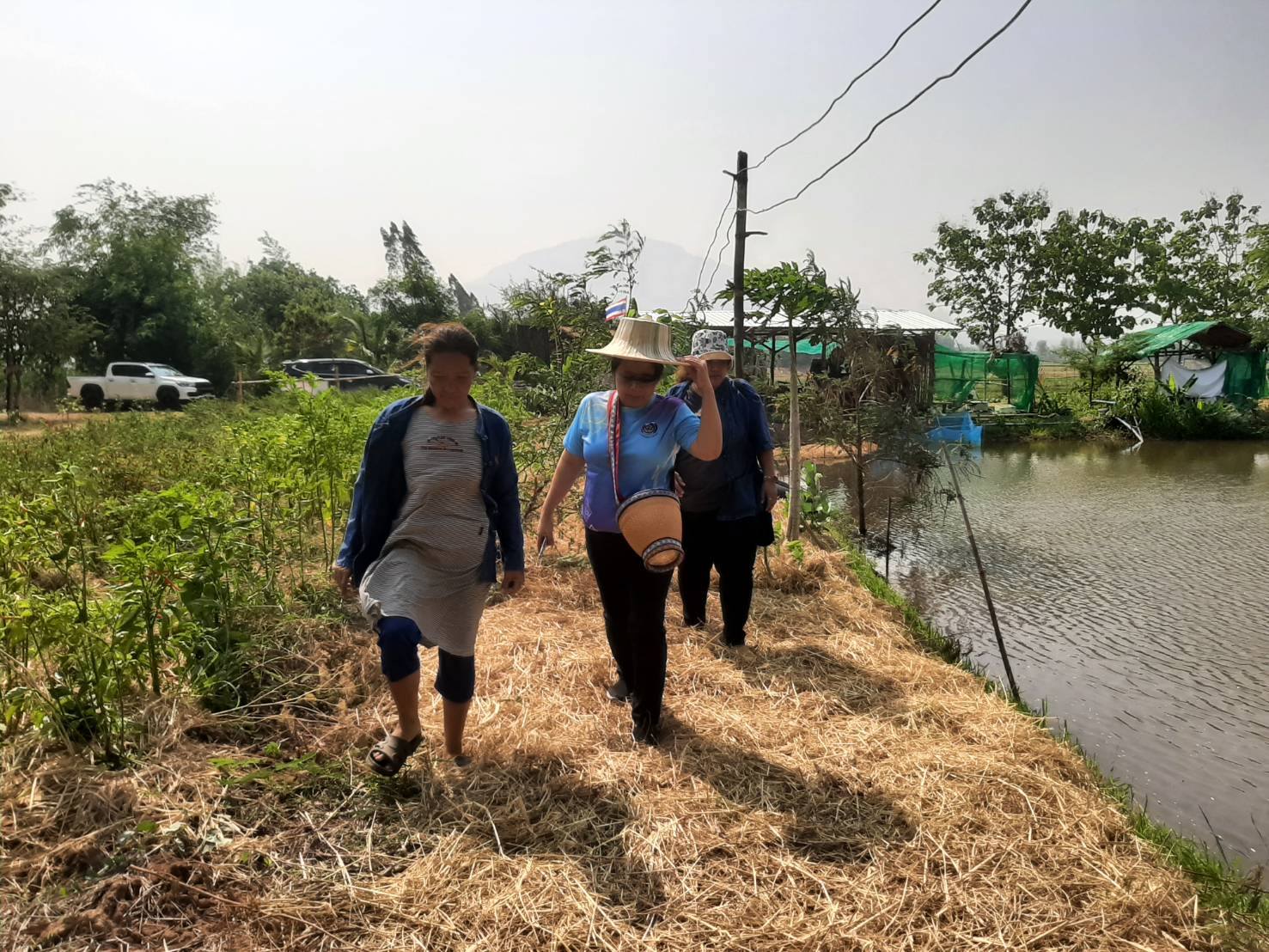 พช.ชัยภูมิ ให้การต้อนรับเจ้าหน้าที่กลุ่มงานส่งเสริมการเรียนรู้ชุมชน สำนักเสริมสร้างความเข้มแข็งชุมชน กรมการพัฒนาชุมชน ลงพื้นที่ถ่ายทำวีดิทัศน์และถอดบทเรียนองค์ความรู้ในศูนย์เรียนรู้ฯโคก หนอง นา พัฒนาชุมชน พื้นที่จังหวัดชัยภูมิ
