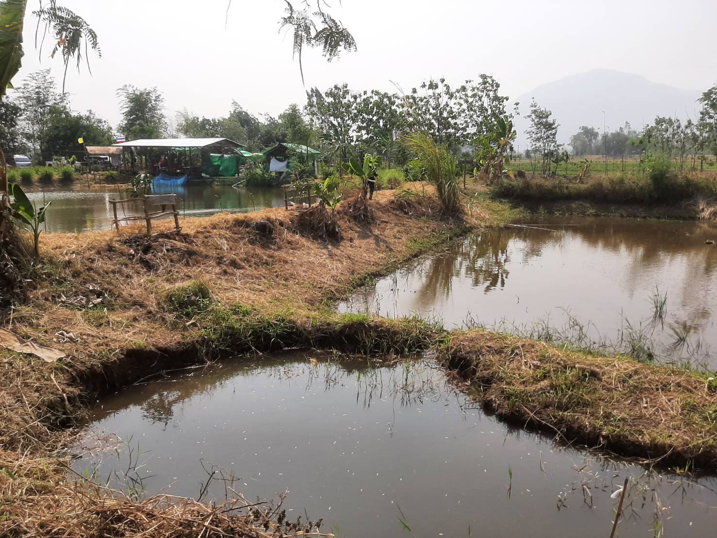 พช.ชัยภูมิ ให้การต้อนรับเจ้าหน้าที่กลุ่มงานส่งเสริมการเรียนรู้ชุมชน สำนักเสริมสร้างความเข้มแข็งชุมชน กรมการพัฒนาชุมชน ลงพื้นที่ถ่ายทำวีดิทัศน์และถอดบทเรียนองค์ความรู้ในศูนย์เรียนรู้ฯโคก หนอง นา พัฒนาชุมชน พื้นที่จังหวัดชัยภูมิ